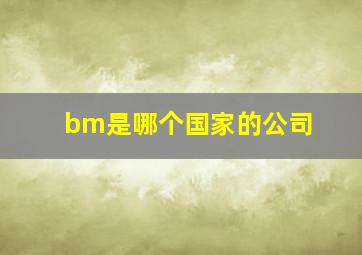 bm是哪个国家的公司