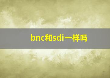 bnc和sdi一样吗