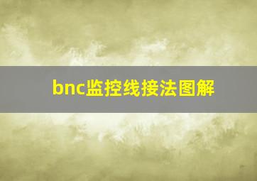 bnc监控线接法图解