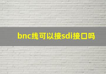 bnc线可以接sdi接口吗