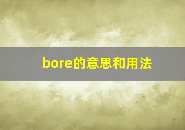 bore的意思和用法