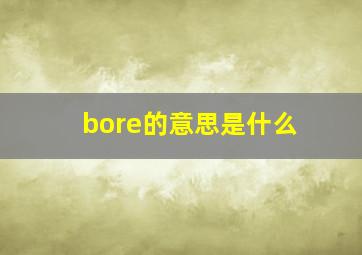 bore的意思是什么