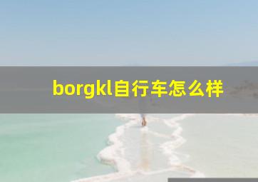 borgkl自行车怎么样