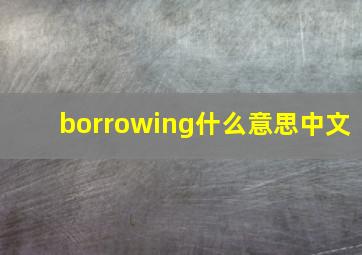 borrowing什么意思中文