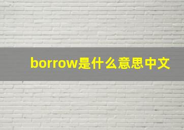 borrow是什么意思中文