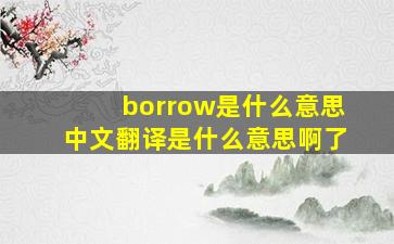 borrow是什么意思中文翻译是什么意思啊了