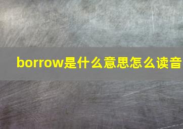 borrow是什么意思怎么读音