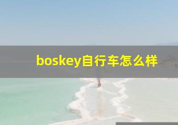 boskey自行车怎么样