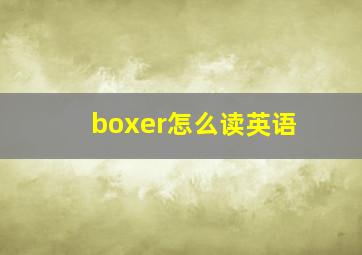 boxer怎么读英语