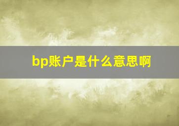 bp账户是什么意思啊