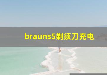 brauns5剃须刀充电