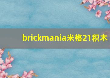 brickmania米格21积木