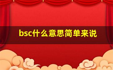 bsc什么意思简单来说