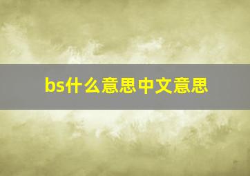 bs什么意思中文意思