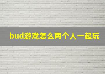 bud游戏怎么两个人一起玩