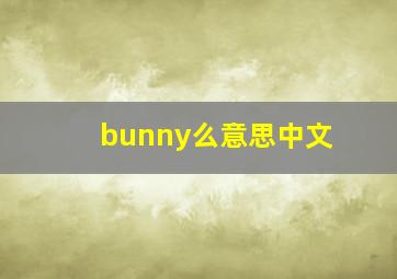 bunny么意思中文