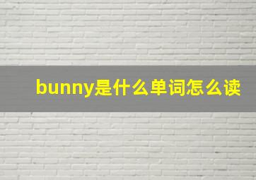 bunny是什么单词怎么读