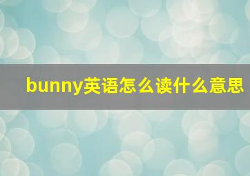 bunny英语怎么读什么意思