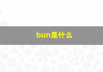 bun是什么