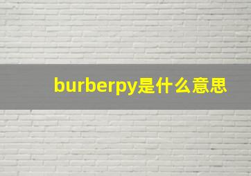 burberpy是什么意思