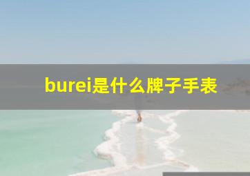 burei是什么牌子手表