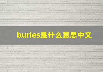 buries是什么意思中文