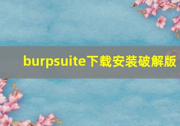 burpsuite下载安装破解版