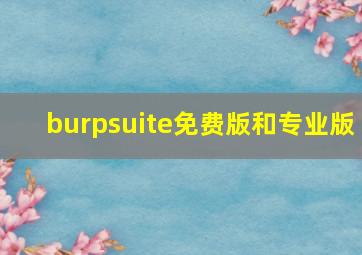 burpsuite免费版和专业版