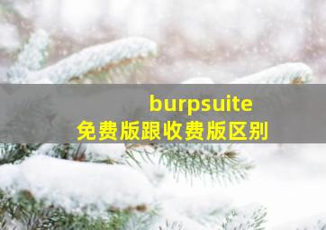 burpsuite免费版跟收费版区别