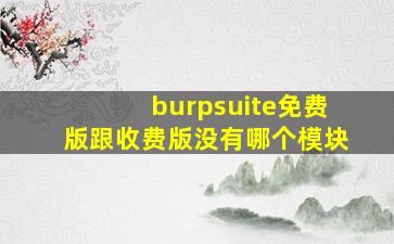 burpsuite免费版跟收费版没有哪个模块