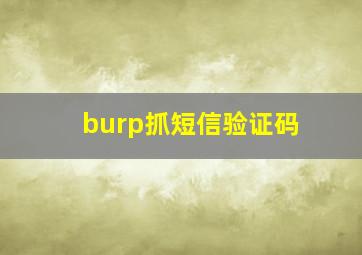 burp抓短信验证码