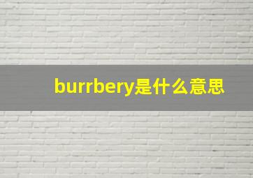 burrbery是什么意思