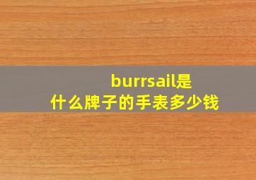 burrsail是什么牌子的手表多少钱