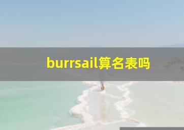 burrsail算名表吗