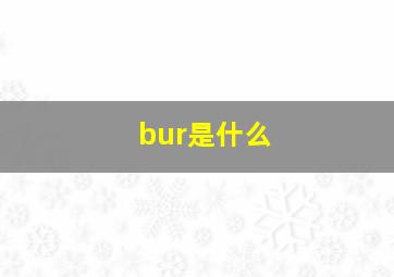 bur是什么