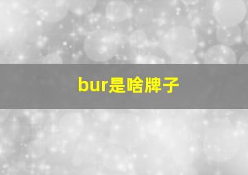 bur是啥牌子