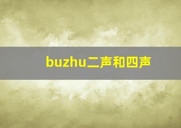 buzhu二声和四声