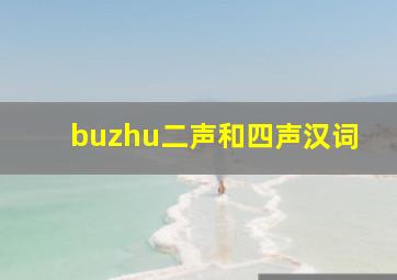 buzhu二声和四声汉词