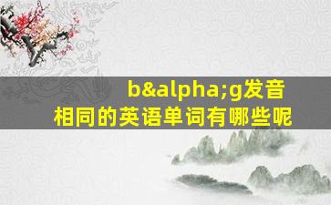 bαg发音相同的英语单词有哪些呢