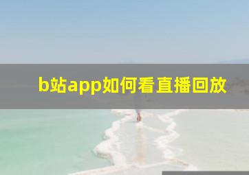 b站app如何看直播回放