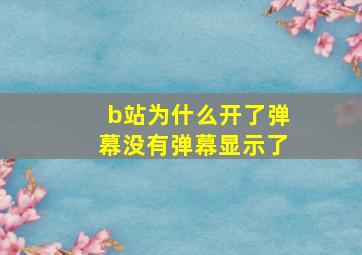 b站为什么开了弹幕没有弹幕显示了