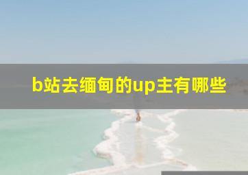 b站去缅甸的up主有哪些