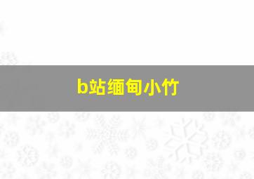 b站缅甸小竹