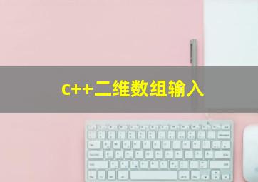 c++二维数组输入