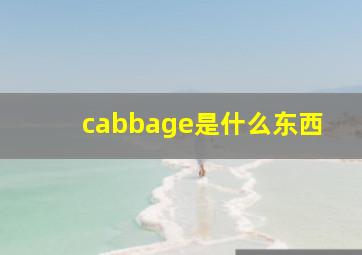 cabbage是什么东西