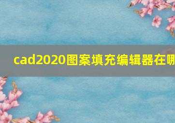 cad2020图案填充编辑器在哪