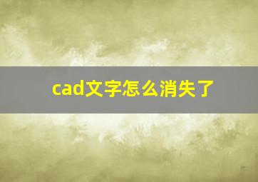 cad文字怎么消失了