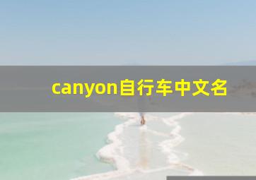 canyon自行车中文名