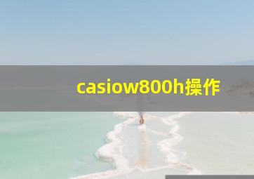 casiow800h操作