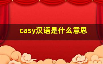 casy汉语是什么意思